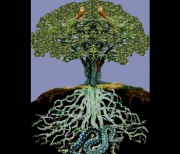 Yggdrasil image